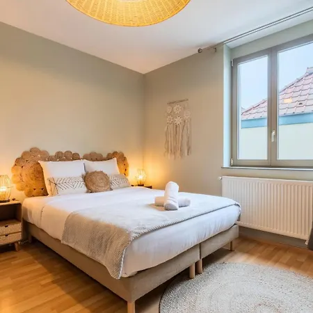 Bright 1 Bedroom Apartment, Close To Center Appartamento Roubaix